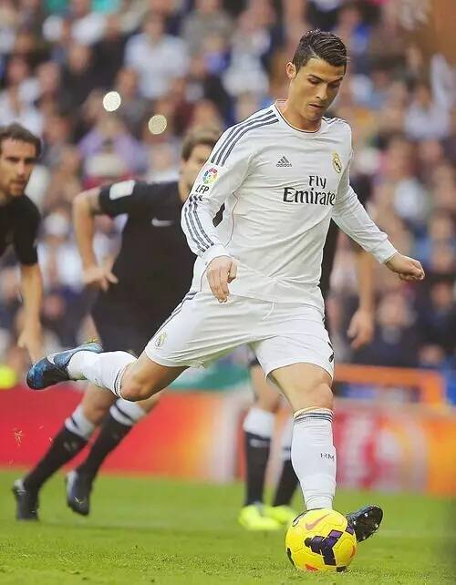 已经让他们 已经让他们