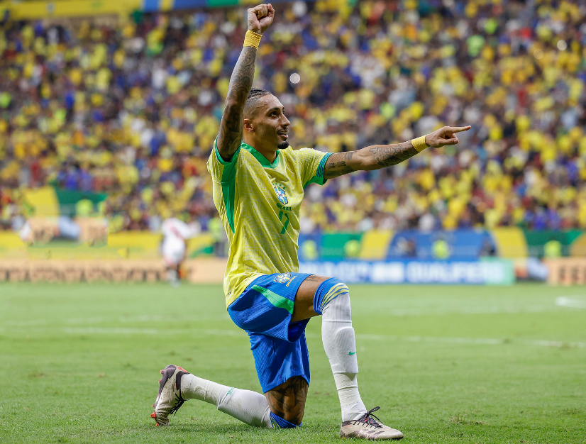 队整体目标 队整体目标