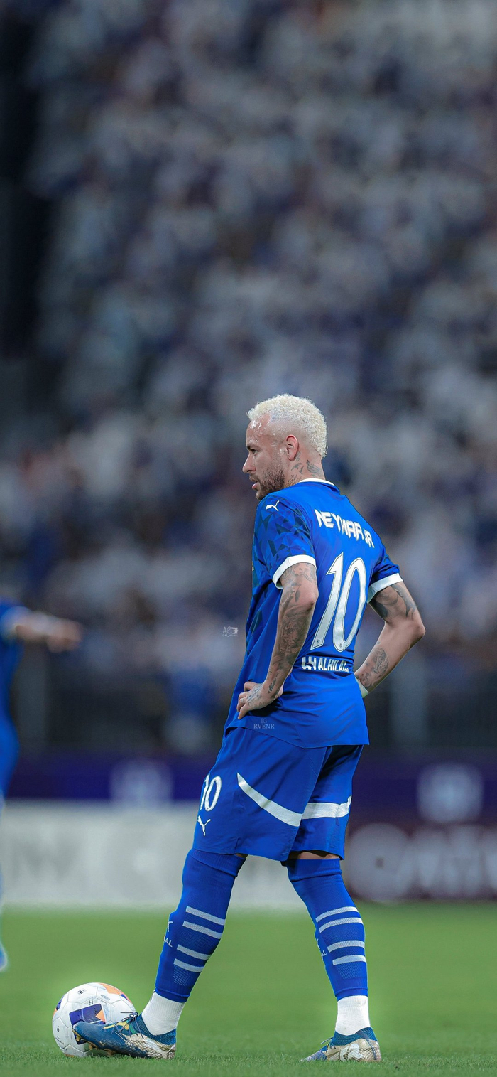 职业道路 职业道路